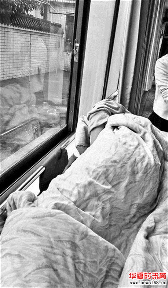 桃江四中躺在病床上接受治疗的学生