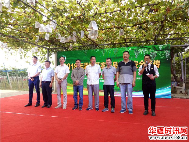 灞桥农产品质量安全宣传会暨葡萄主题艺术节盛大启航