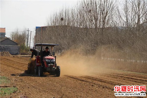 博兴县店子镇小麦高低畦栽培技术赢得省市县观摩团高度评价