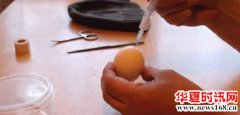男子将自己DNA注入鸡蛋里，10天孵化后，结果让人意外