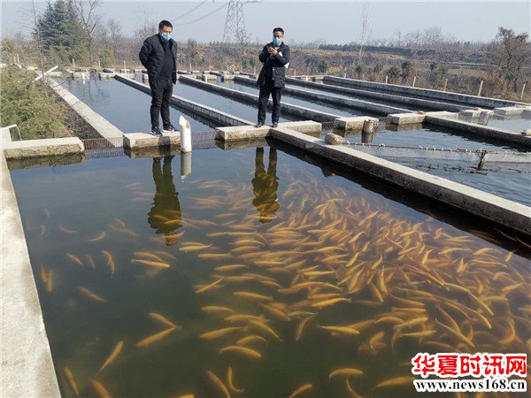 渭南市临渭区农业农村局：“两促进，两不误”保障渔业复工复产