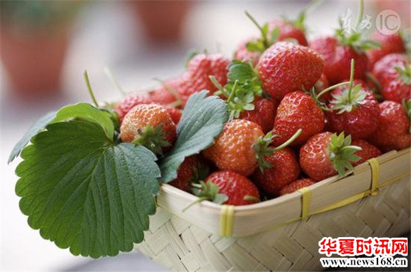 吃草莓的季节来了，但是大家都洗干净了吗？