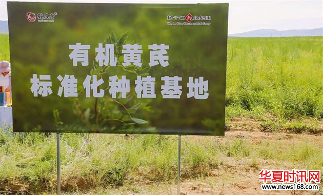 深度溯源有机品质,第二届717龙凤堂有机黄芪节在固阳举办