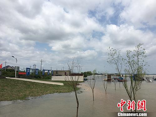 图为彭泽县一处曾经的非法码头泊位，一些钢架、板房瘫倒在江边。汤琪 摄