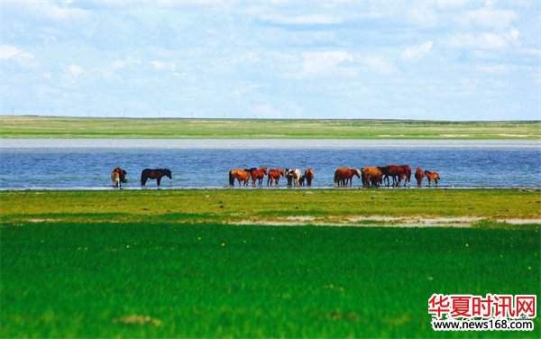 蒙古国堕落成“性旅游业”大国？建国已经百年，为何越混越惨？